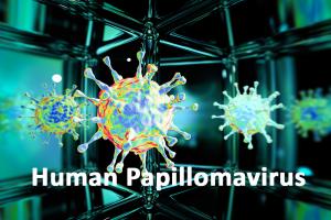 Что нужно знать о вирусе папилломы человека и можно ли от него защититься?