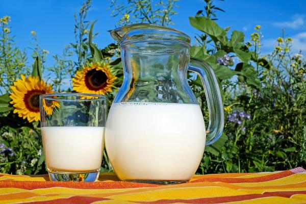 Молоко: неожиданный противораковый эффект