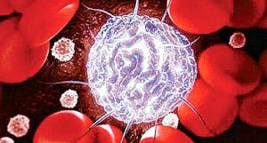 Израильские ученые поделились предостерегающим открытием: стволовые клетки могут провоцировать рак